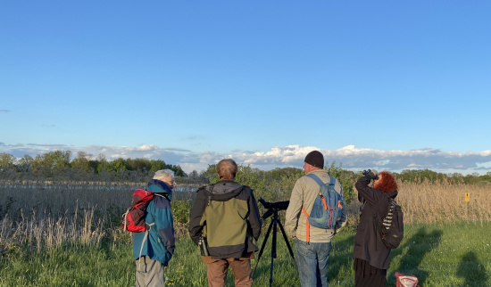 Exkursion Dippelsdorfer Teich Foto: Steffi Grön