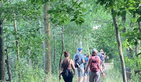 Foto: Steffi Grön